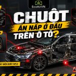 chuột mang virus ẩn nấp trong ô tô, engine cleaner