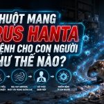 Chuột mang virus Hanta lây truyền cho con người qua đâu? rat & pest oust