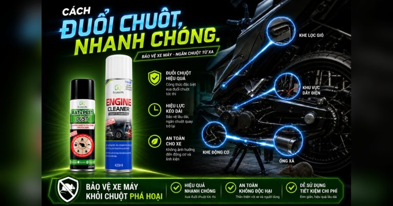 Làm gì khi chuột chui vào xe máy?