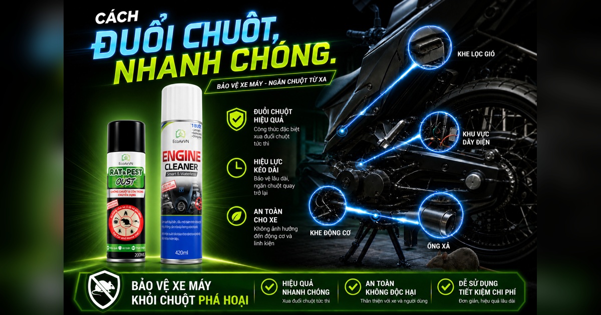 làm gì khi chuột chui vào xe máy, rat & pest oust