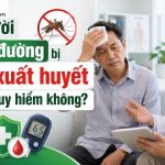 người tiểu đường bị sốt xuất huyết có nguy hiểm không, xịt chống muỗi thiên nhiên heroh