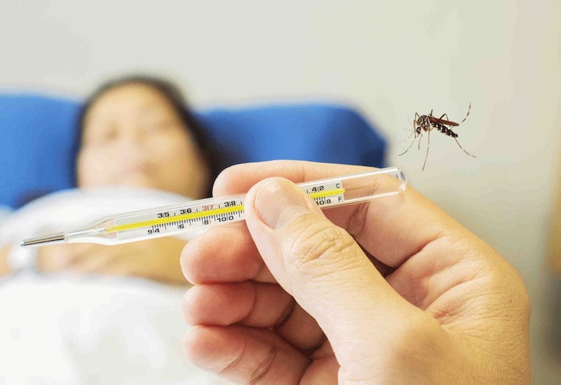Người tiểu đường bị sốt xuất huyết có nguy hiểm không? xịt chống muỗi thiên nhiên heroh