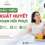 sốt xuất huyết giai đoạn phục hồi, xịt chống muỗi thiên nhiên heroh