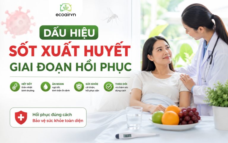 Dấu hiệu sốt xuất huyết giai đoạn hồi phục 
