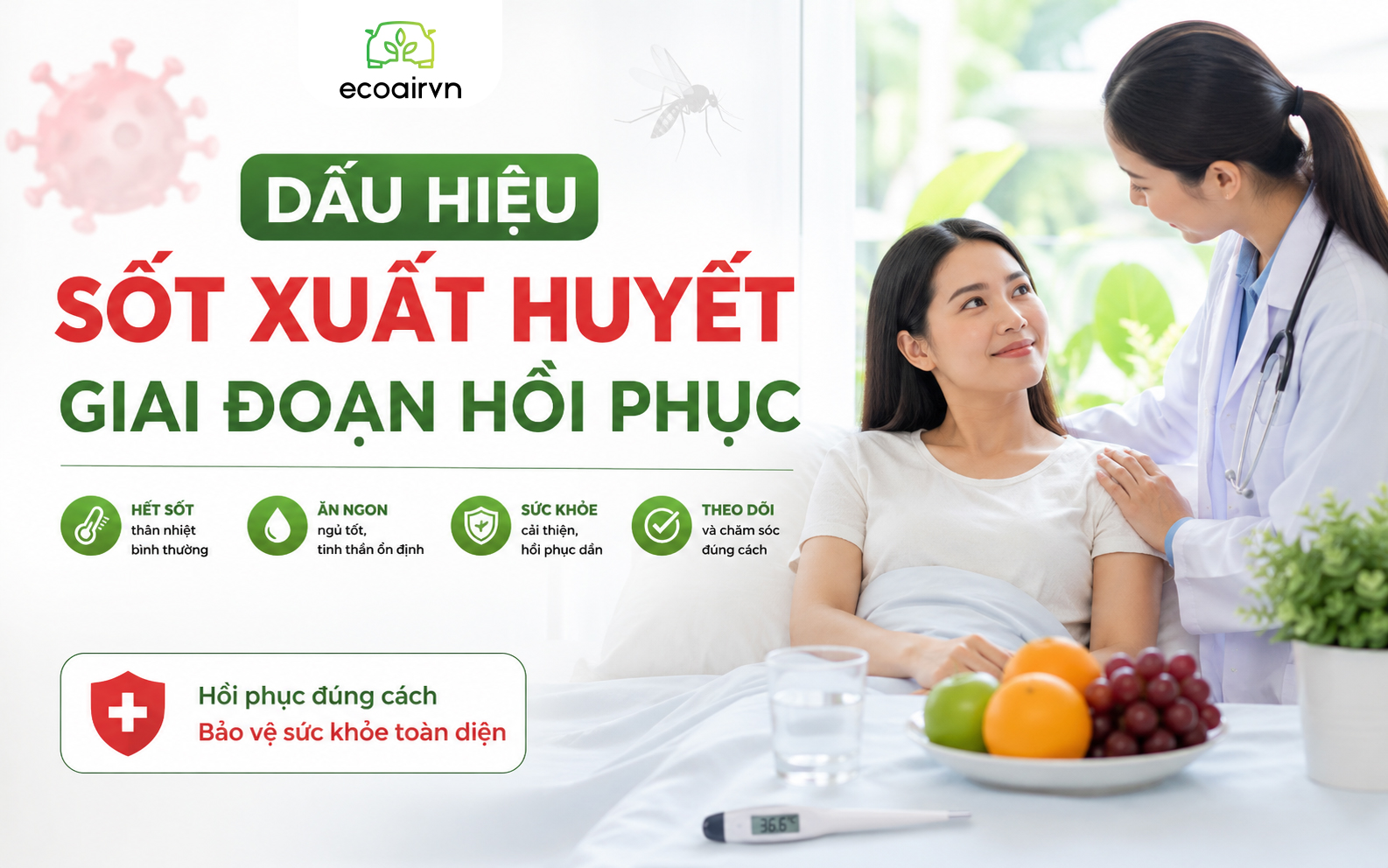 sốt xuất huyết giai đoạn phục hồi, xịt chống muỗi thiên nhiên heroh