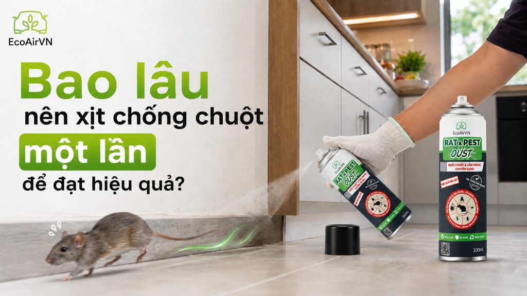 tần suất xịt chống chuột cho nhà ở, rat & pest oust