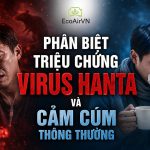 Phân biệt triệu chứng virus Hanta và cảm cúm thông thường, rat & pest oust