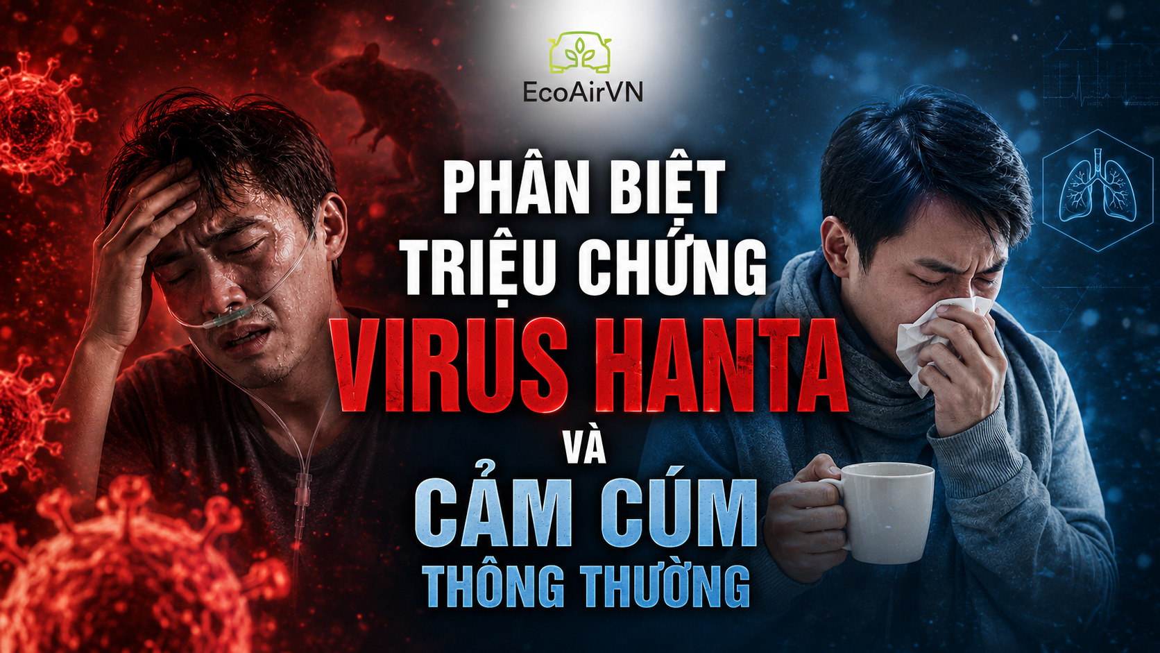 Phân biệt triệu chứng virus Hanta và cảm cúm thông thường, rat & pest oust