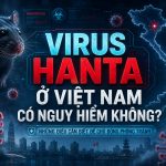 virus hanta ở việt nam có nguy hiểm không, rat & pest oust