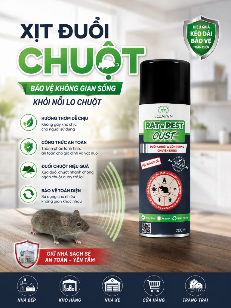 Vì sao chuột sợ mùi bạc hà nhưng vẫn quay lại? rat & pest oust