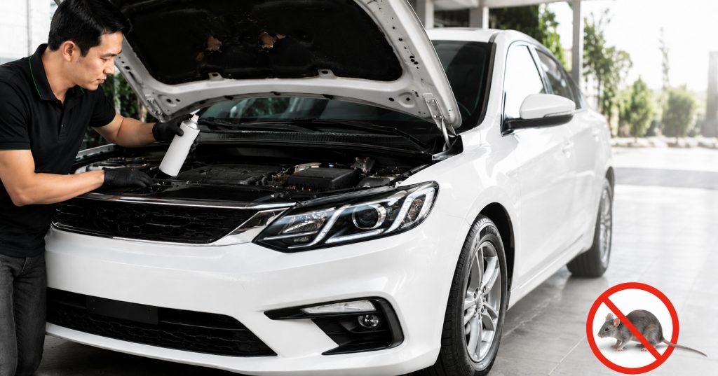 xịt chống chuột ô tô loại nào tốt nhất, engine cleaner