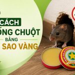 cách chống chuột bằng cao sao vàng, engine cleaner