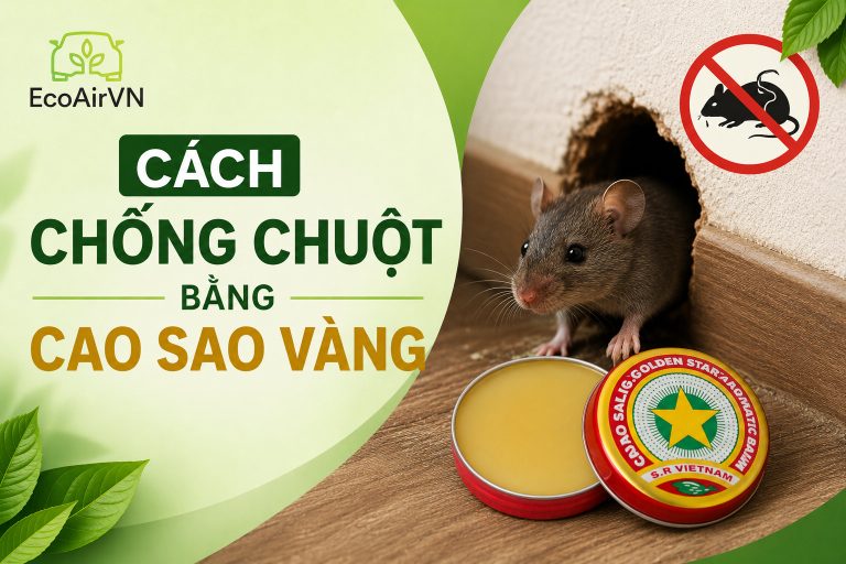 Cách chống chuột bằng cao sao vàng