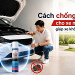Cách chống chuột cho xe mới mua giúp xe không bị chuột