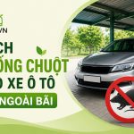 Cách chống chuột cho xe ô tô để ngoài bãi, engine cleaner