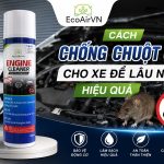 Cách chống chuột ô tô cho xe để lâu ngày hiệu quả, engine cleaner