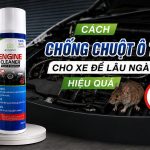 cách chống chuột ô tô cho xe đỗ lâu ngày hiệu quả, engine cleaner