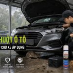 cách chống chuột ô tô mùa mưa, engine cleaner