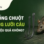Chống chuột bằng lưỡi câu có hiệu quả không? engine cleaner