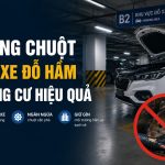 Chống chuột cho xe đỗ hầm chung cư hiệu quả, engine cleaner