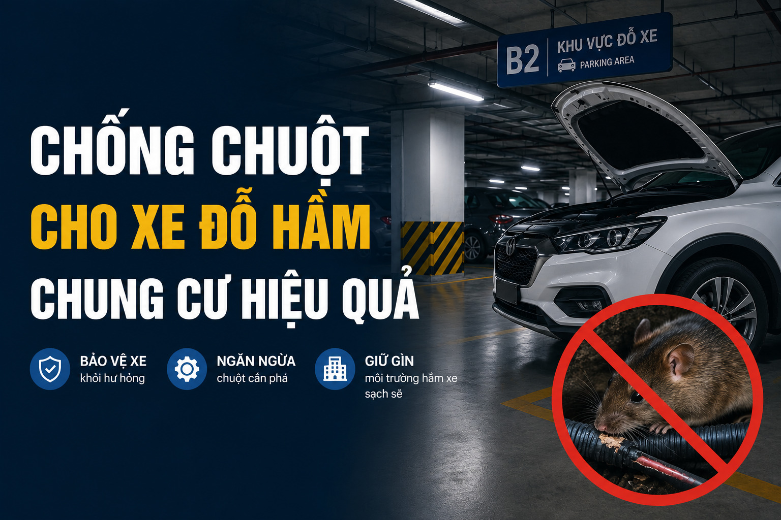 Chống chuột cho xe đỗ hầm chung cư hiệu quả, engine cleaner