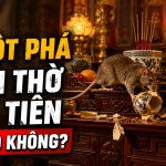 chuột phá bàn thờ gia tiên có sao không, rat & pest oust