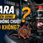 Gara có nên dùng xịt chống chuột ô tô không? engine cleaner