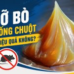 Mỡ bò chống chuột có hiệu quả không? engine cleaner