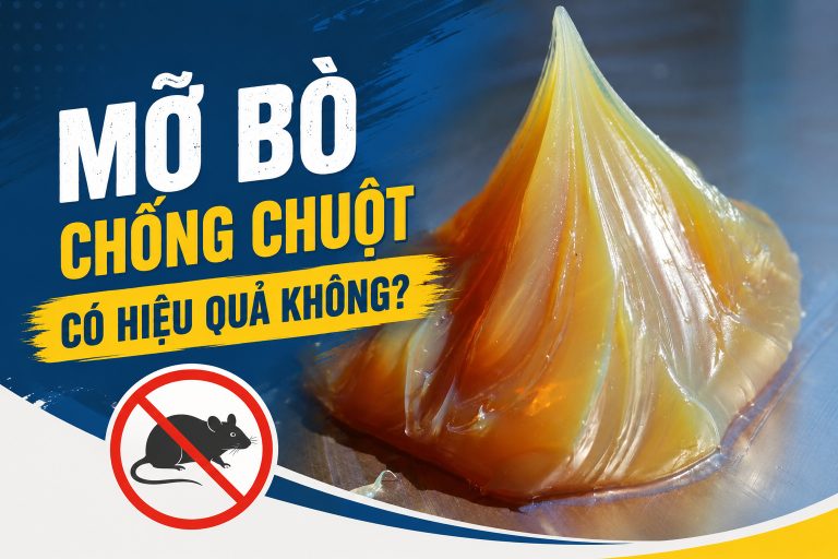 Mỡ bò chống chuột có hiệu quả không?