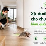 xịt đuổi chuột cho chung cư hiệu quả, rat & pest oust
