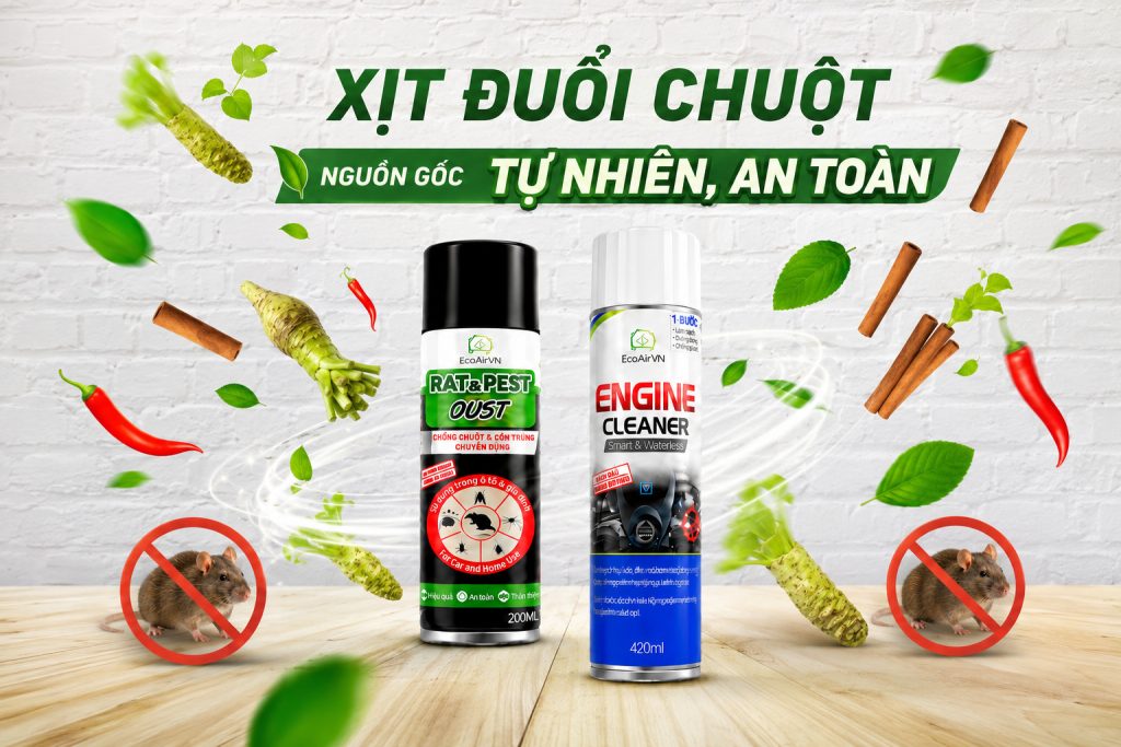Nên dùng xịt đuổi chuột hay long não?