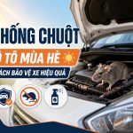 Chống chuột ô tô mùa hè - Cách bảo vệ xe hiệu quả, engine cleaner