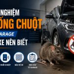 Kinh nghiệm chống chuột từ garage chủ xe nên biết, engine cleaner