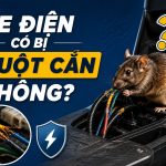 Xe điện có bị chuột cắn không? engine cleaner