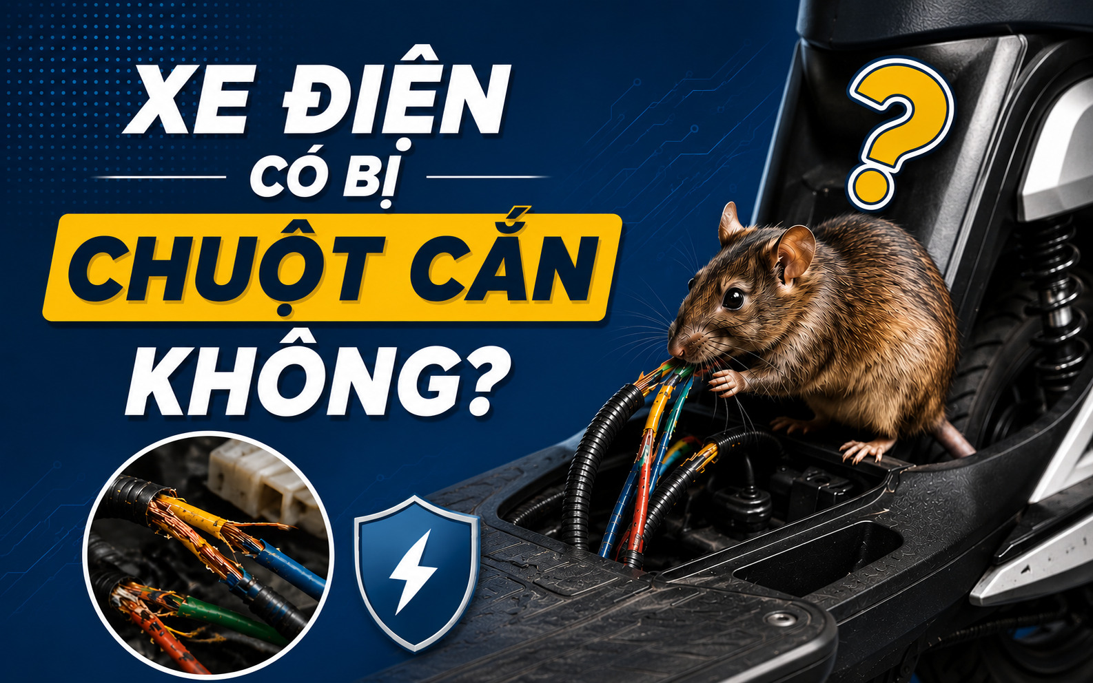 Xe điện có bị chuột cắn không? engine cleaner