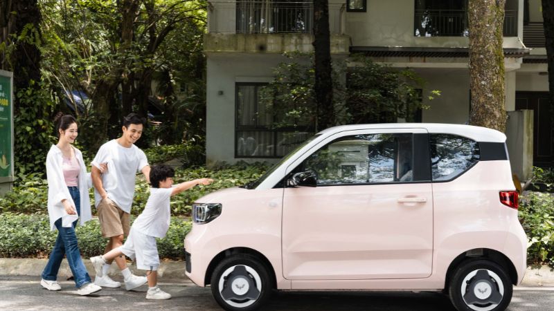 Xe điện có bị chuột cắn không? engine cleaner