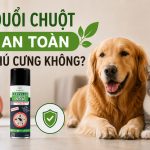 Xịt đuổi chuột có an toàn cho thú cưng không? 