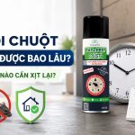 Xịt đuổi chuột dùng được bao lâu?