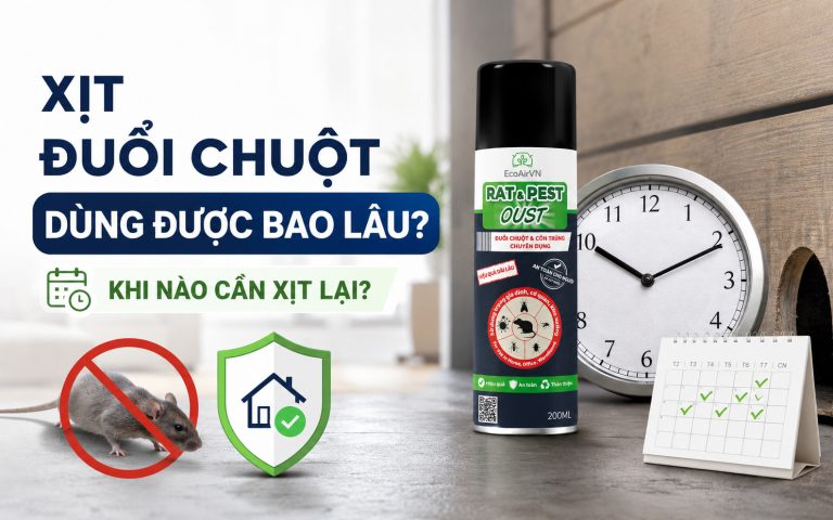 Xịt đuổi chuột dùng được bao lâu? Khi nào cần xịt lại?