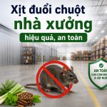 Xịt đuổi chuột nhà xưởng hiệu quả, an toàn