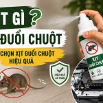 Xịt gì để đuổi chuột? Cách chọn xịt đuổi chuột hiệu quả, engine cleaner, rat & pest oust