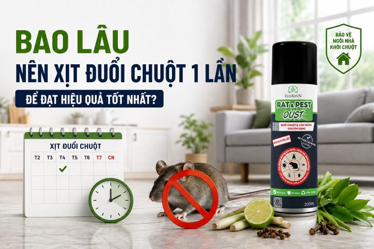 Bao lâu nên xịt đuổi chuột 1 lần để đạt hiệu quả tốt nhất?