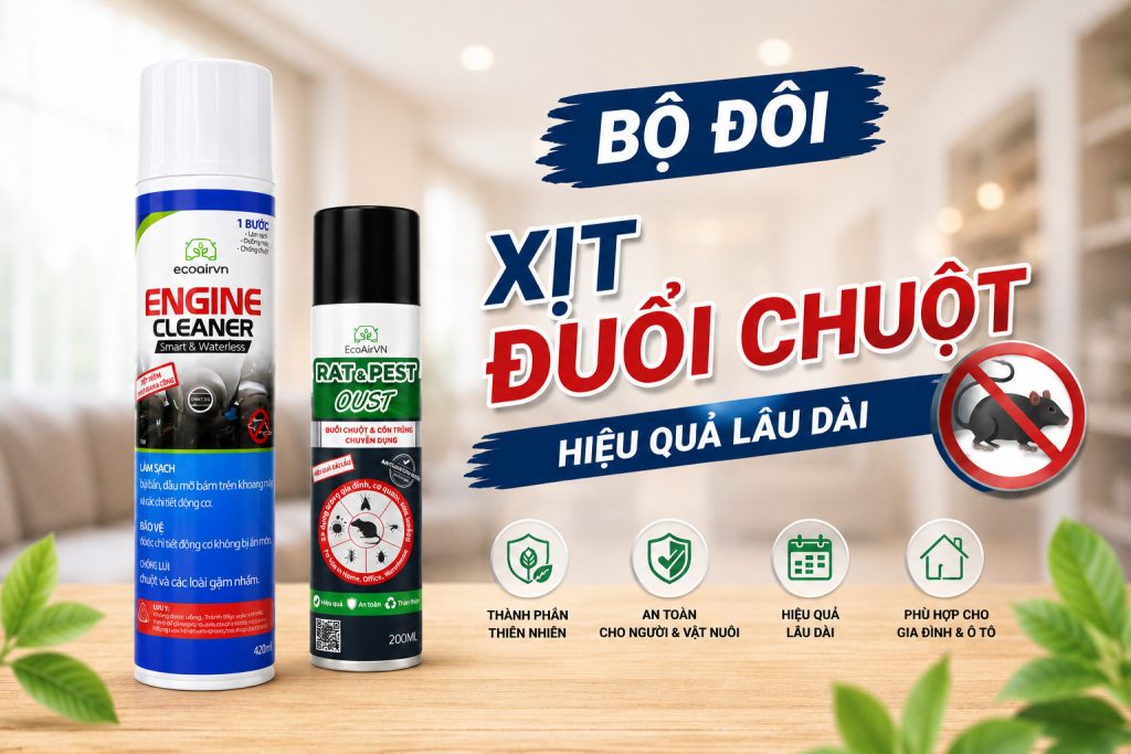 Vì sao nhiều loại xịt đuổi chuột không hiệu quả?