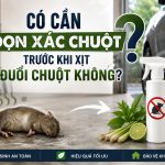 Có cần dọn xác chuột trước khi xịt đuổi chuột không? Tìm hiểu lý do nên xử lý xác chuột trước khi xịt và cách thực hiện đúng để khử mùi, vệ sinh không gian và tăng hiệu quả đuổi chuột.