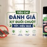 Tiêu chí đánh giá xịt đuổi chuột tốt, hiệu quả 
