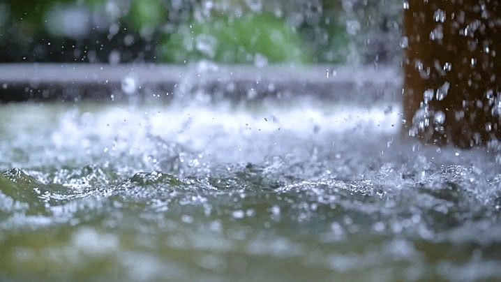 Cách đuổi chuột mùa mưa hiệu quả, an toàn 
