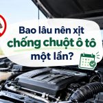 Bao lâu nên xịt chống chuột ô tô một lần?