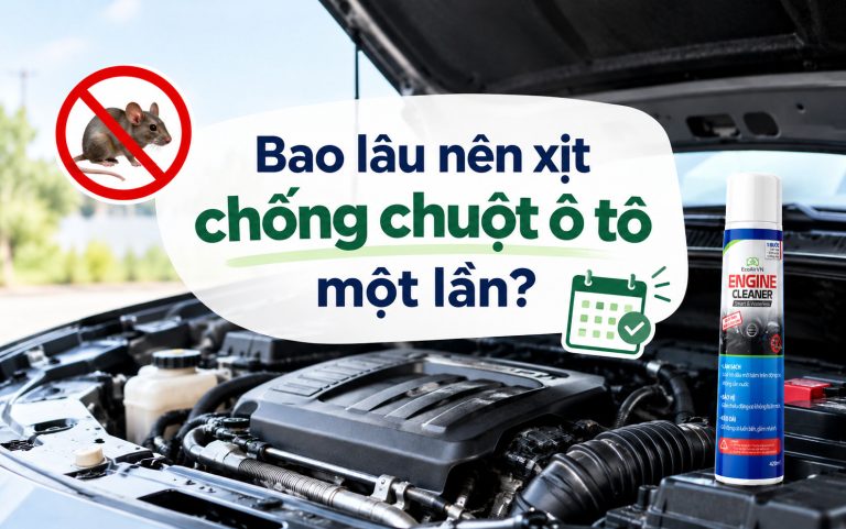 Bao lâu nên xịt chống chuột ô tô một lần?