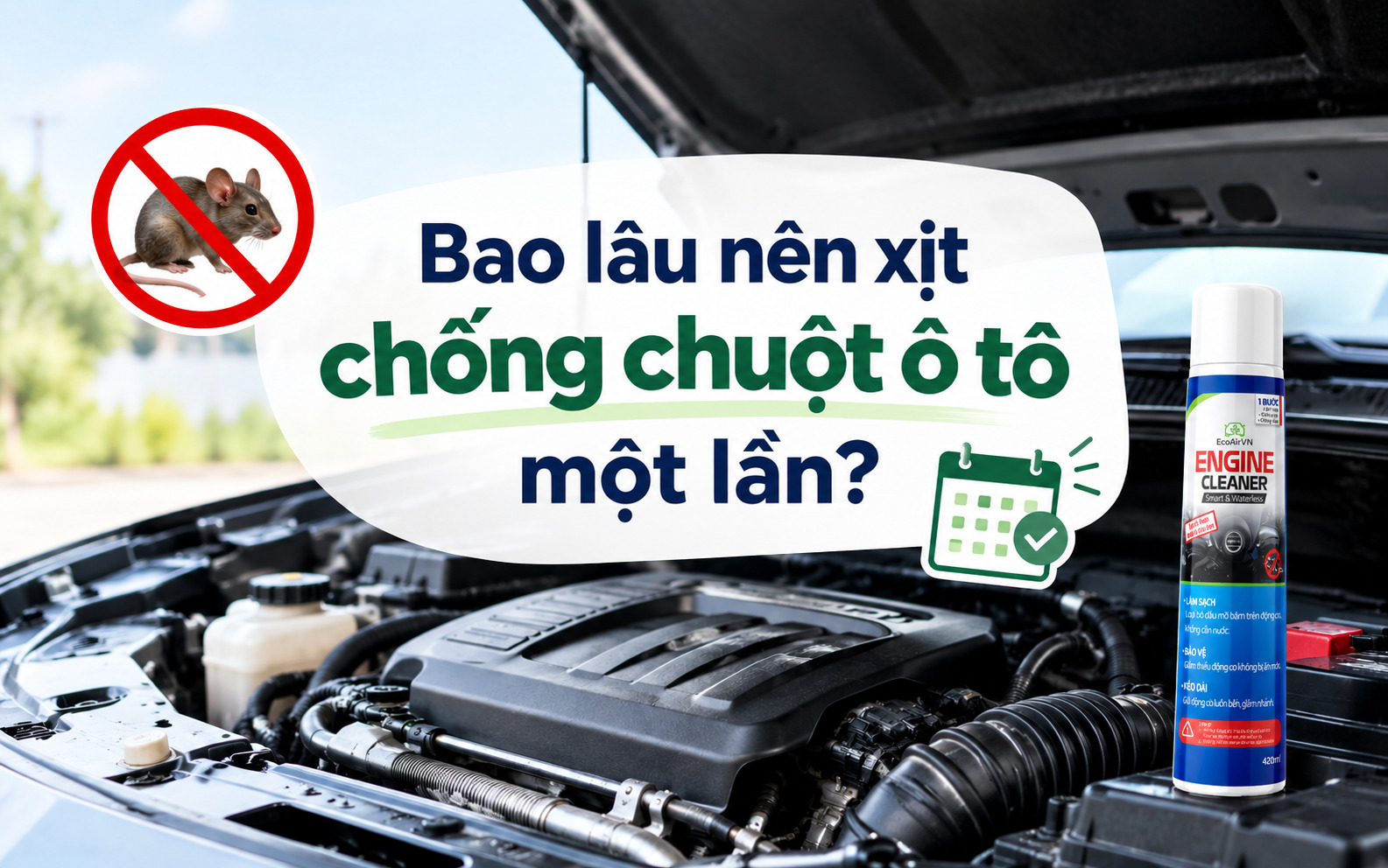 Bao lâu nên xịt chống chuột ô tô một lần?