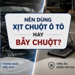 Nên dùng xịt chuột ô tô hay bẫy chuột? 